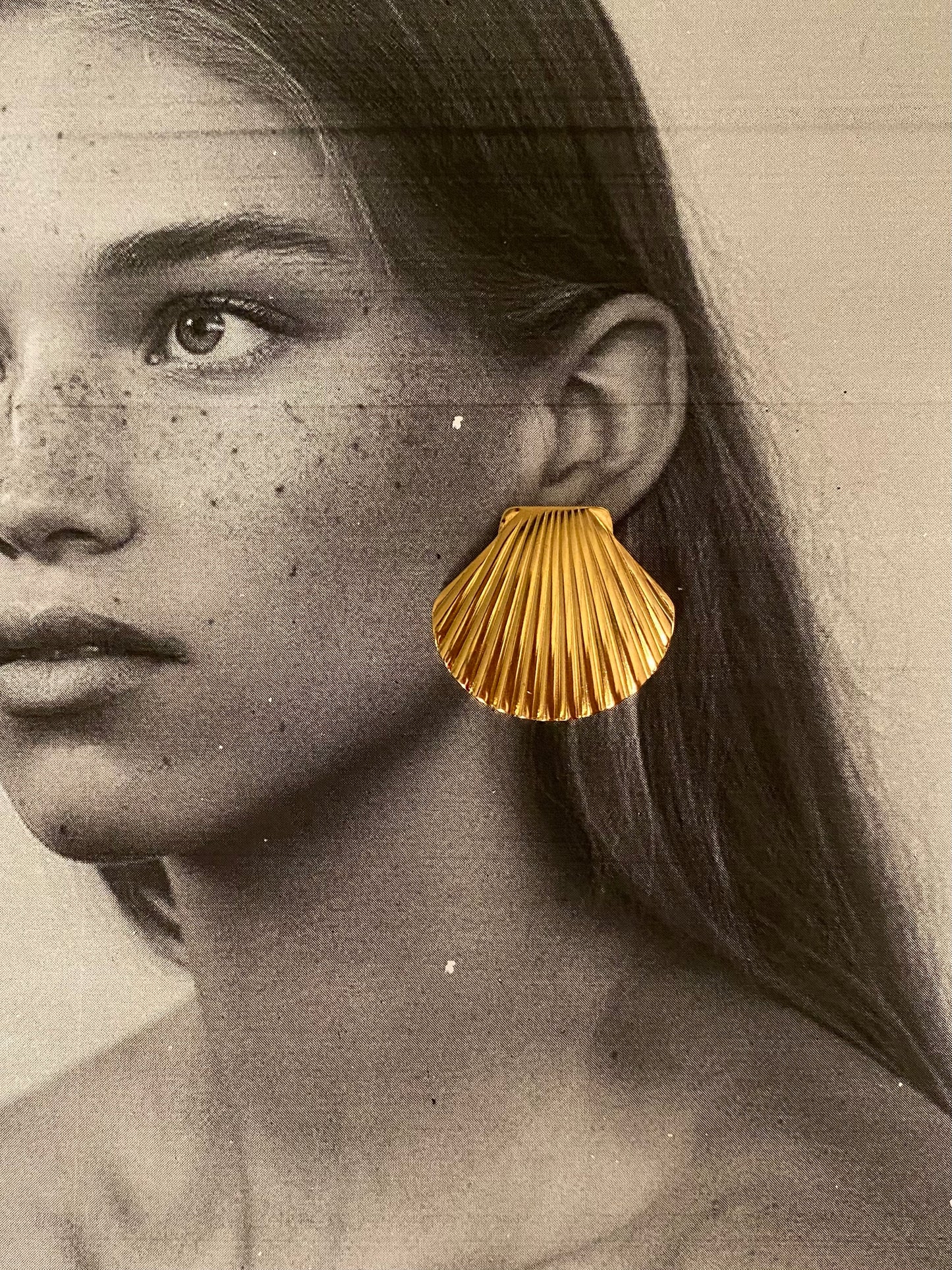 Shell statement earrings